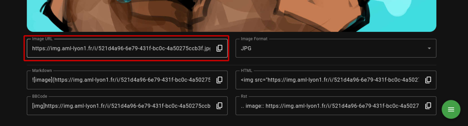 Le lien corrcet est celui en haut à gauche "Image URL"